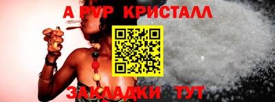 стаф Бийск