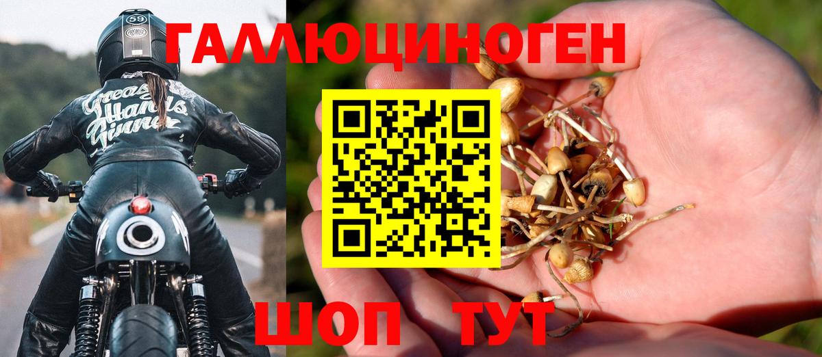 Псилоцибиновые грибы GOLDEN TEACHER Кирово-Чепецк