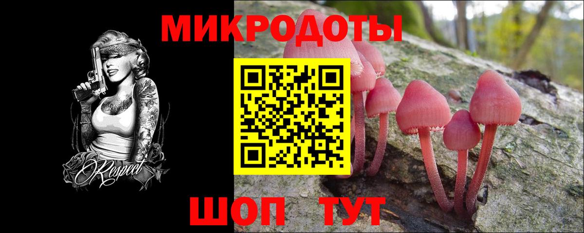 Галлюциногенные грибы Psilocybine cubensis  Вход с VPN  Кирово-Чепецк 